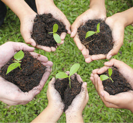 123346237561 About3 01